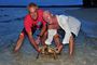 Turtle Release program