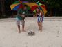 Turtle Release program