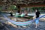 table tennis on the beach